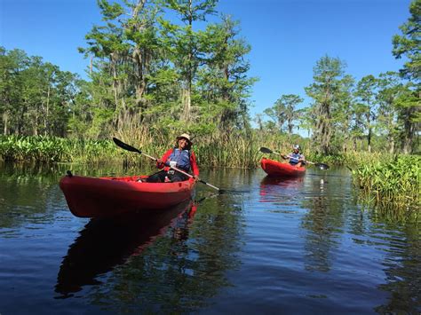 kayak swamp tour